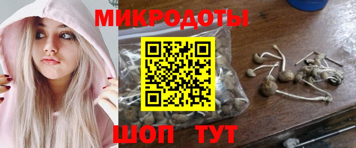 закладки  Псилоцибиновые грибы Psilocybe  Богородицк  Вход с VPN  Галлюциногенные грибы мицелий 