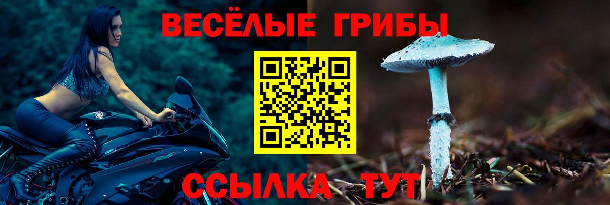 Галлюциногенные грибы прущие грибы Богородицк